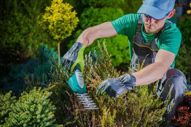 landscaping services Ada
